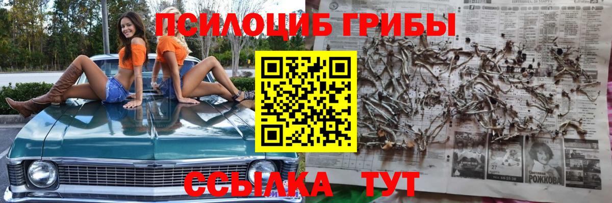 Томск  Псилоцибиновые грибы мицелий  Вход с VPN 