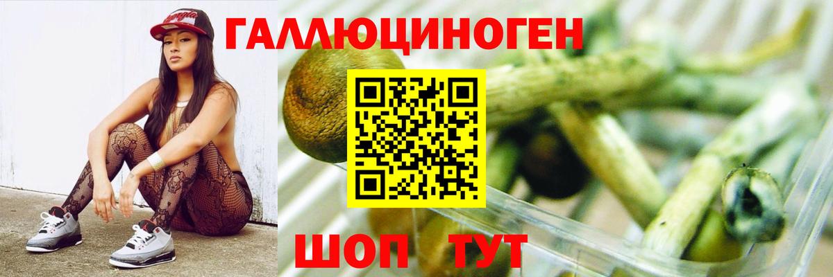 Галлюциногенные грибы GOLDEN TEACHER Томск